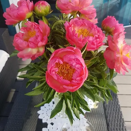 Deluxe & Appart hôtel Vösendorf